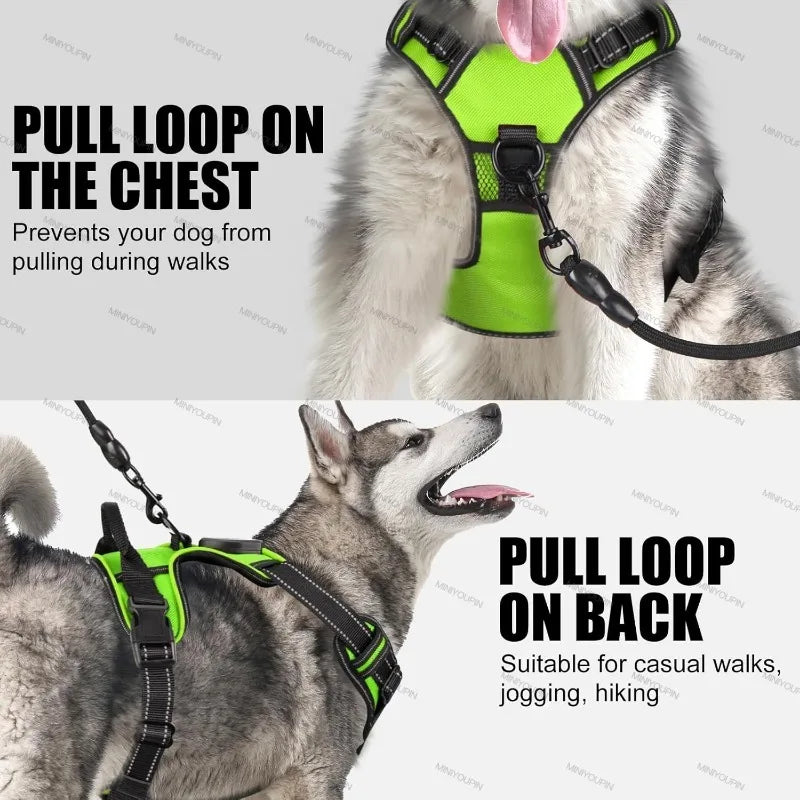 LED Dog Harness – Night Safety Essential