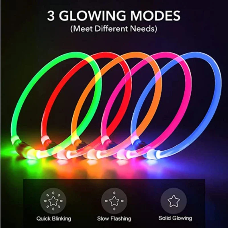 LED Dog Collar, USB Rechargeable