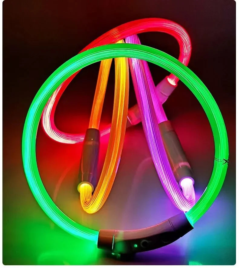 LED Dog Collar USB Rechargeable