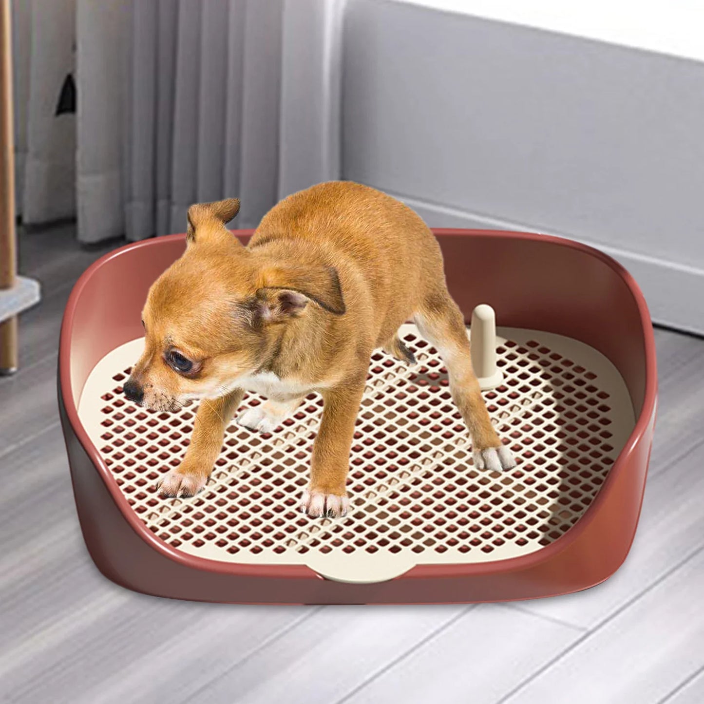 Portable Dog Potty Training Toilet