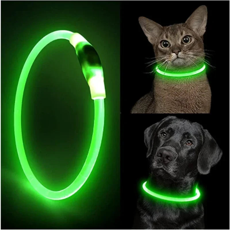 LED Dog Collar, USB Rechargeable