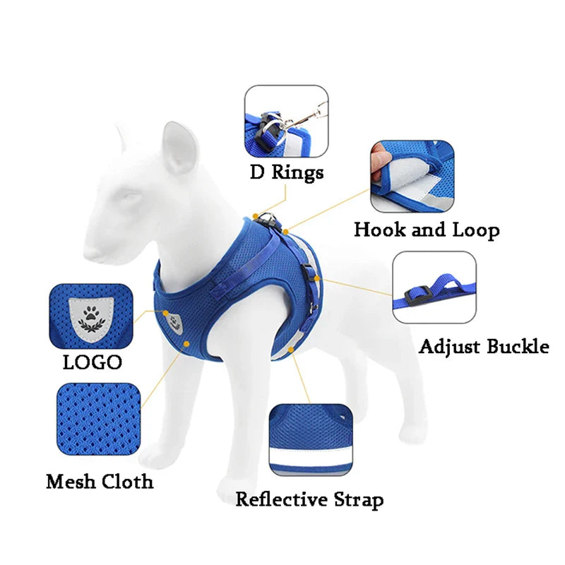 Dog Harness & Leash Set