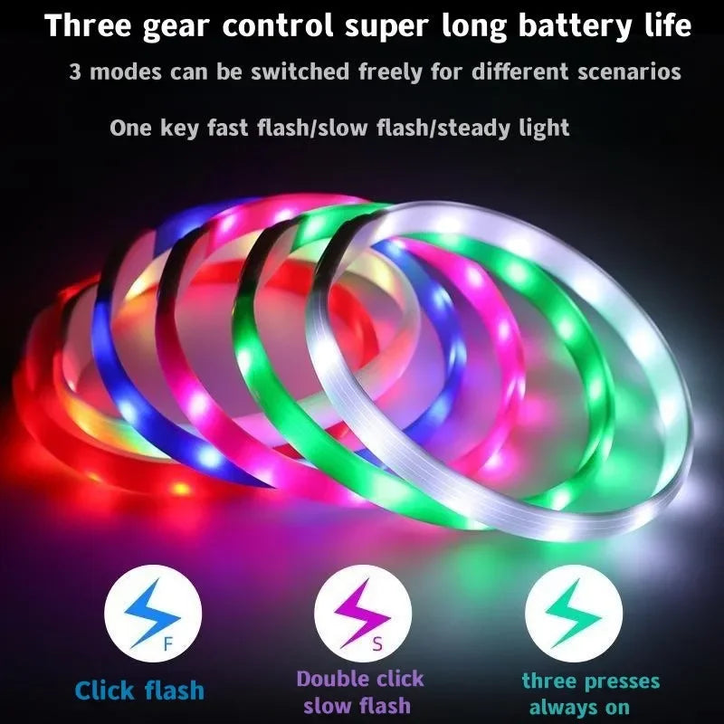 LED Dog Collar