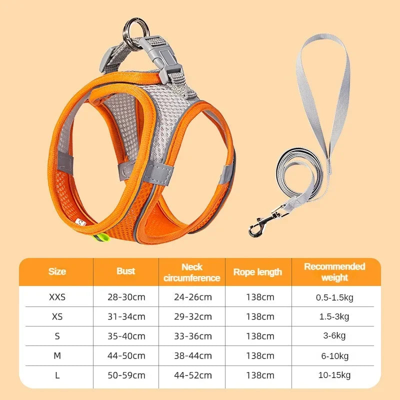 Dog Harness Set