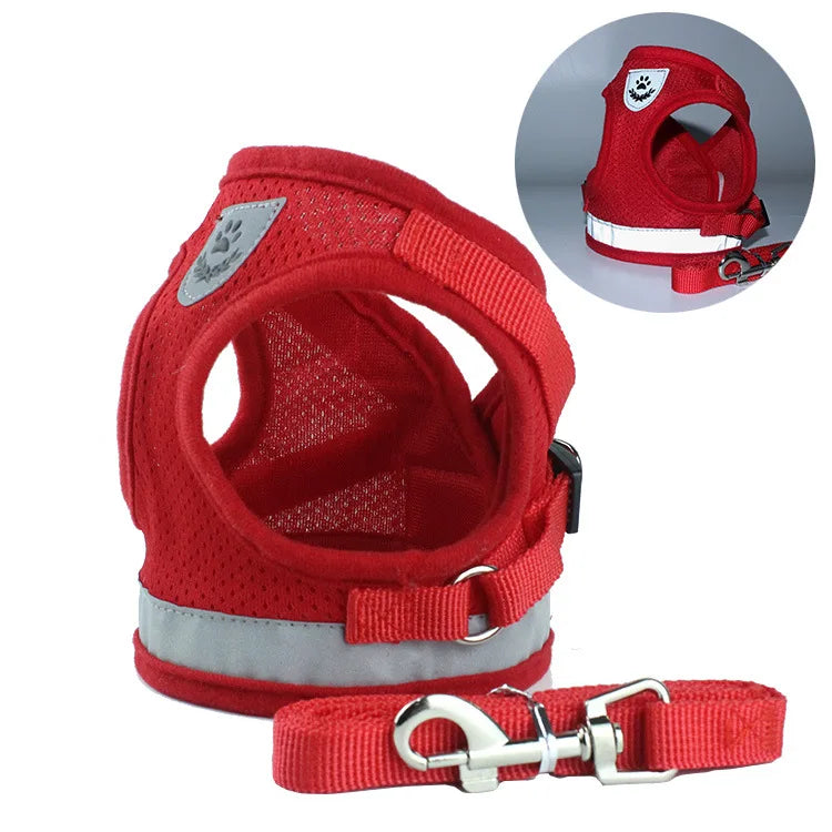 Dog Harness & Leash Set