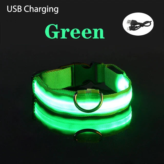 LED Light-Up Dog Collar