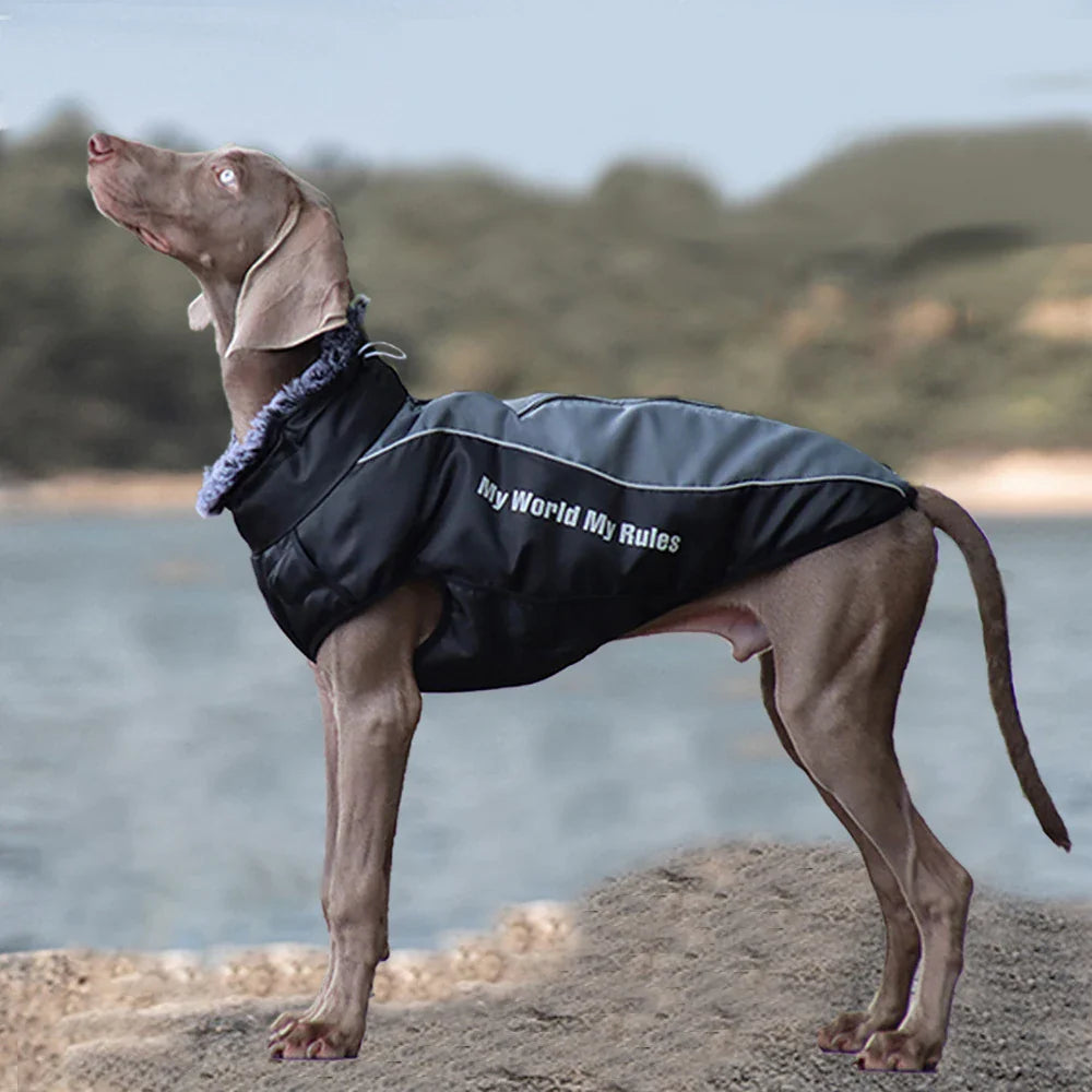 Madden Winter Large Dog Jacket
