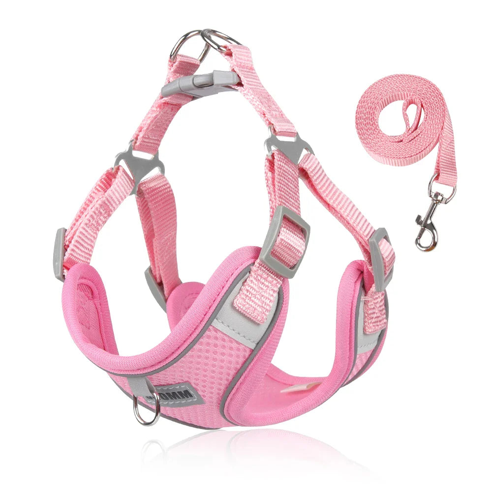 Dog Harness Leash Set