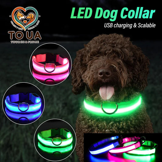 LED Light-Up Dog Collar
