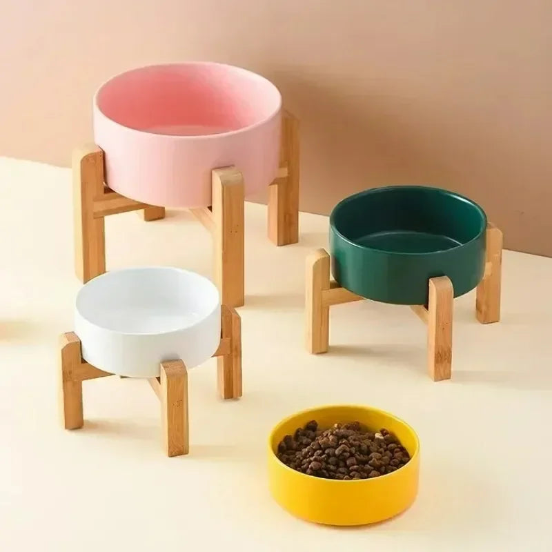 Elevated Double Dog Bowl Set