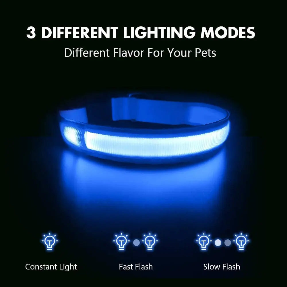 LED Light-Up Dog Collar