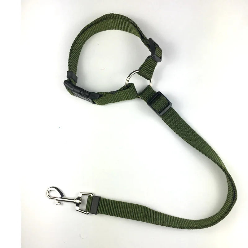 Two-in-One Dog Harness & Seat Belt