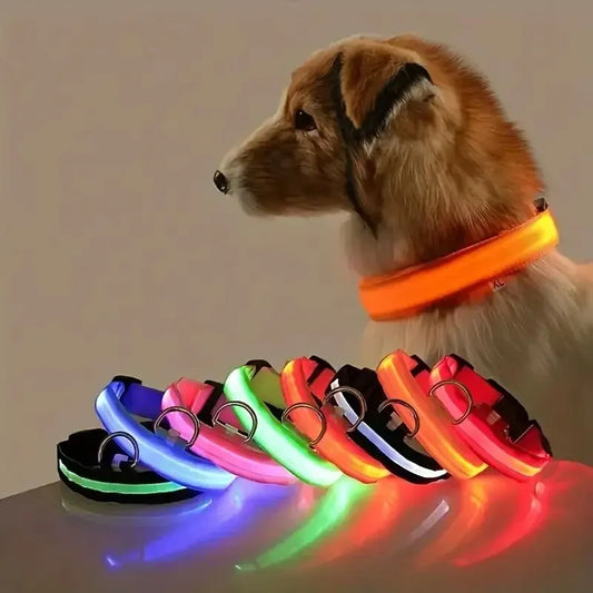LED Glow-In-The-Dark Dog Leash