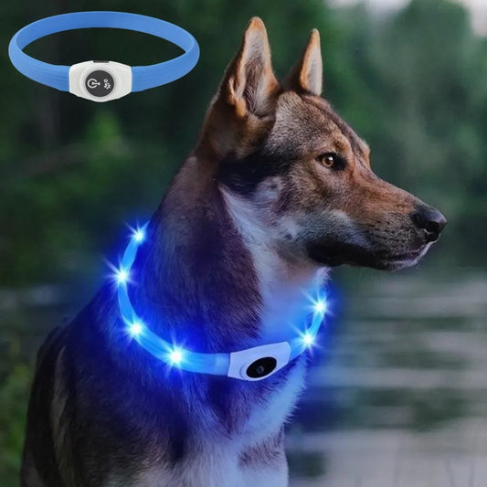 LED Dog Collar