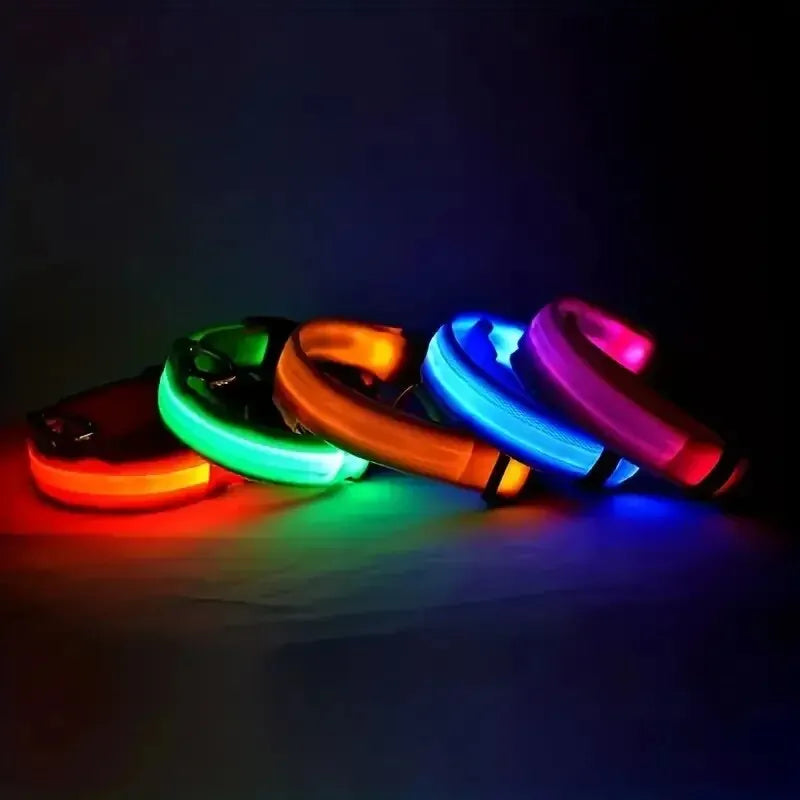 LED Glow-In-The-Dark Dog Leash