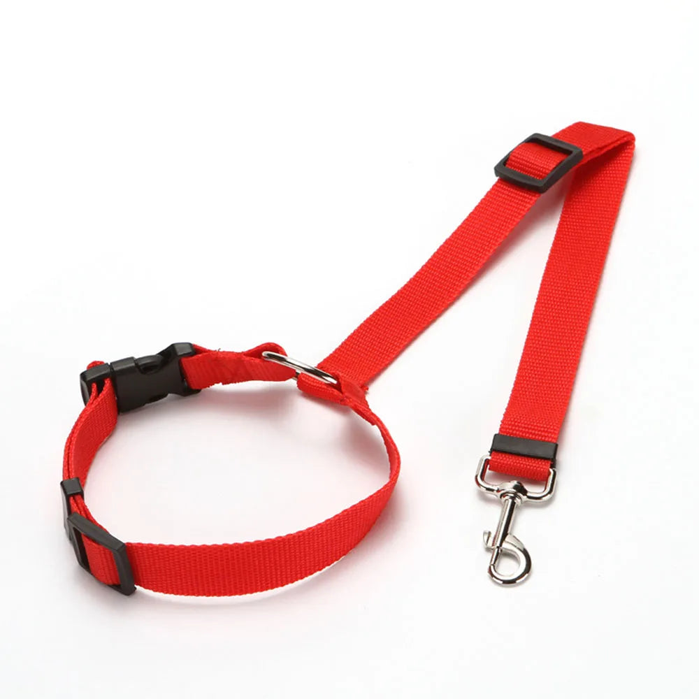 Two-in-One Dog Harness & Seat Belt