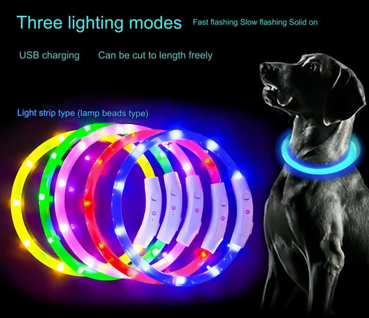 LED Dog Collar, USB Rechargeable