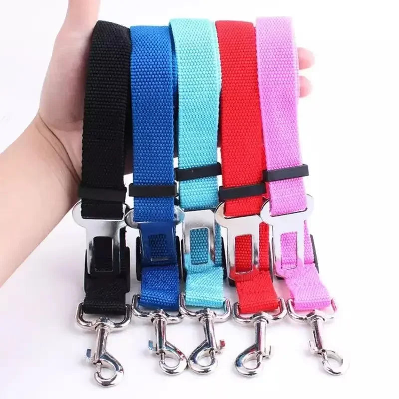 Dog Car Seat Belt Safety