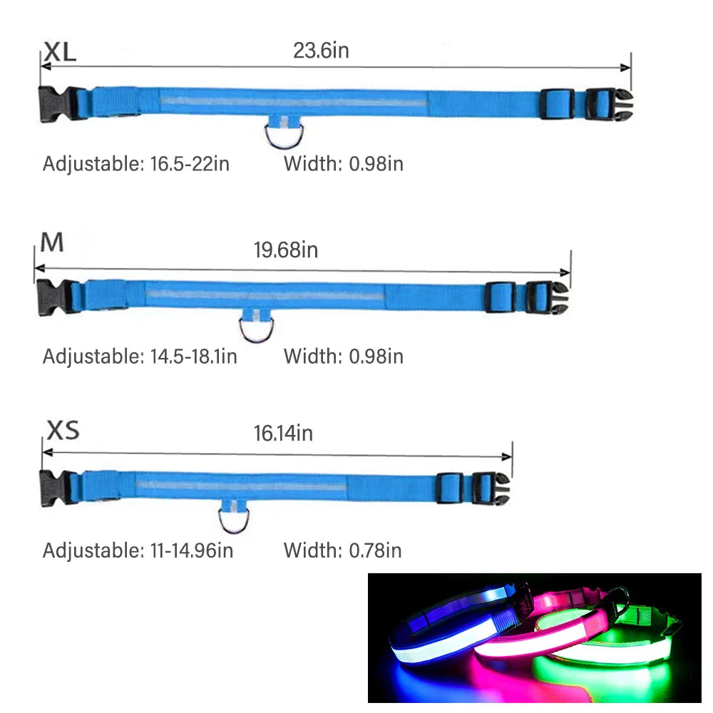 LED Light-Up Dog Collar