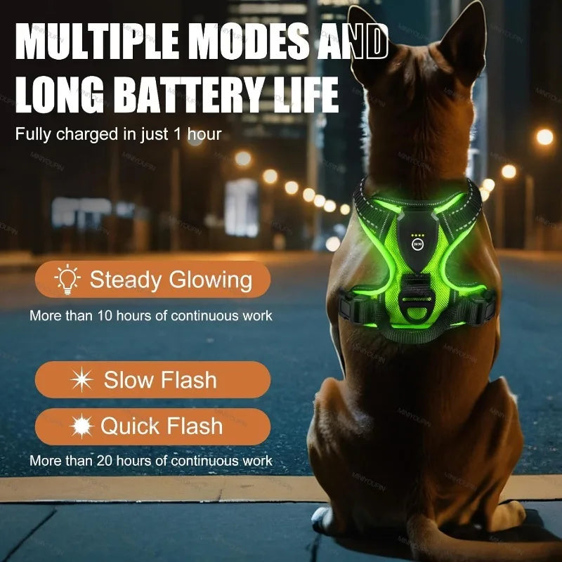 LED Dog Harness – Night Safety Essential