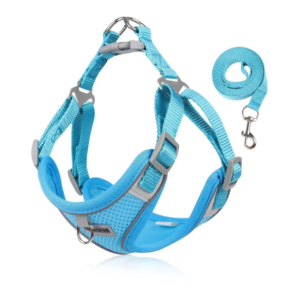 Dog Harness Leash Set