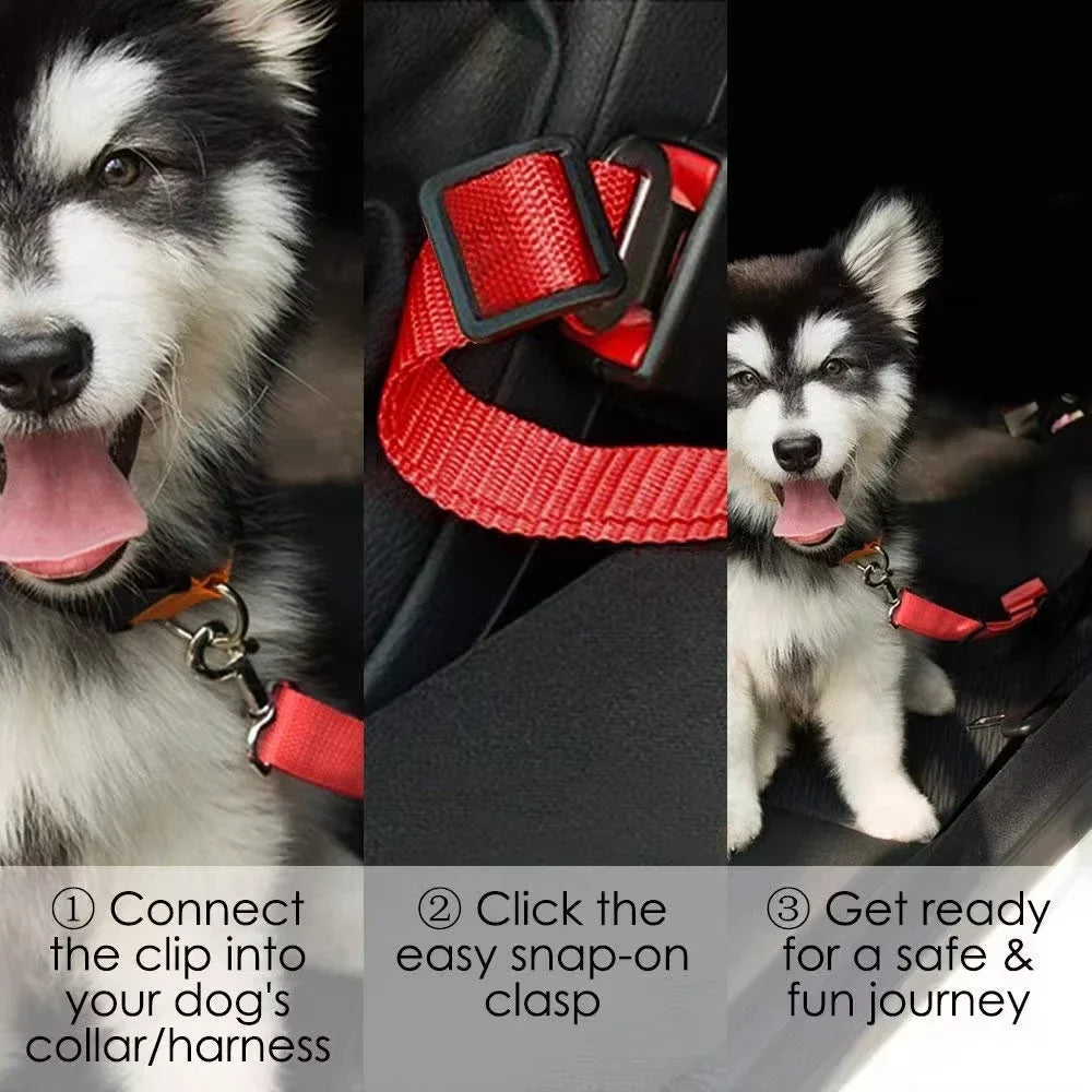 Dog Car Seat Belt Safety