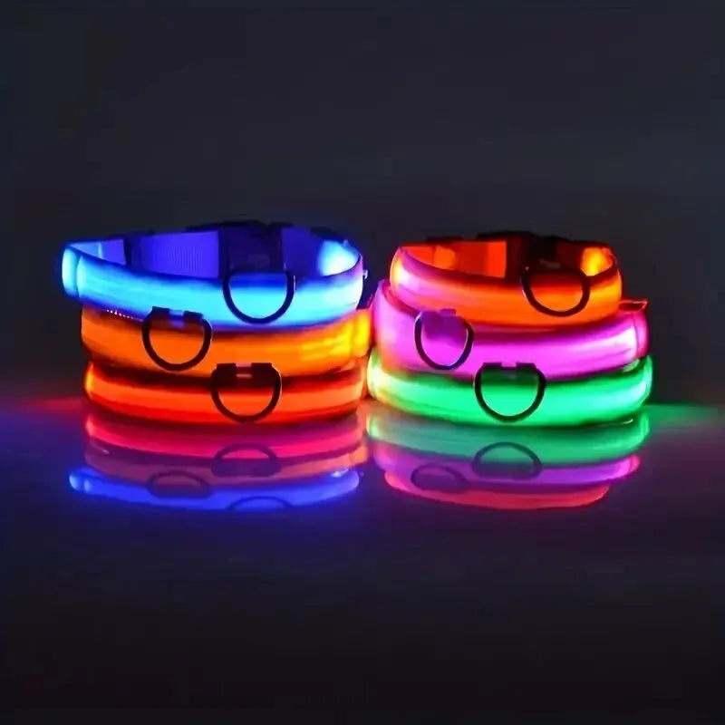 LED Glow-In-The-Dark Dog Leash