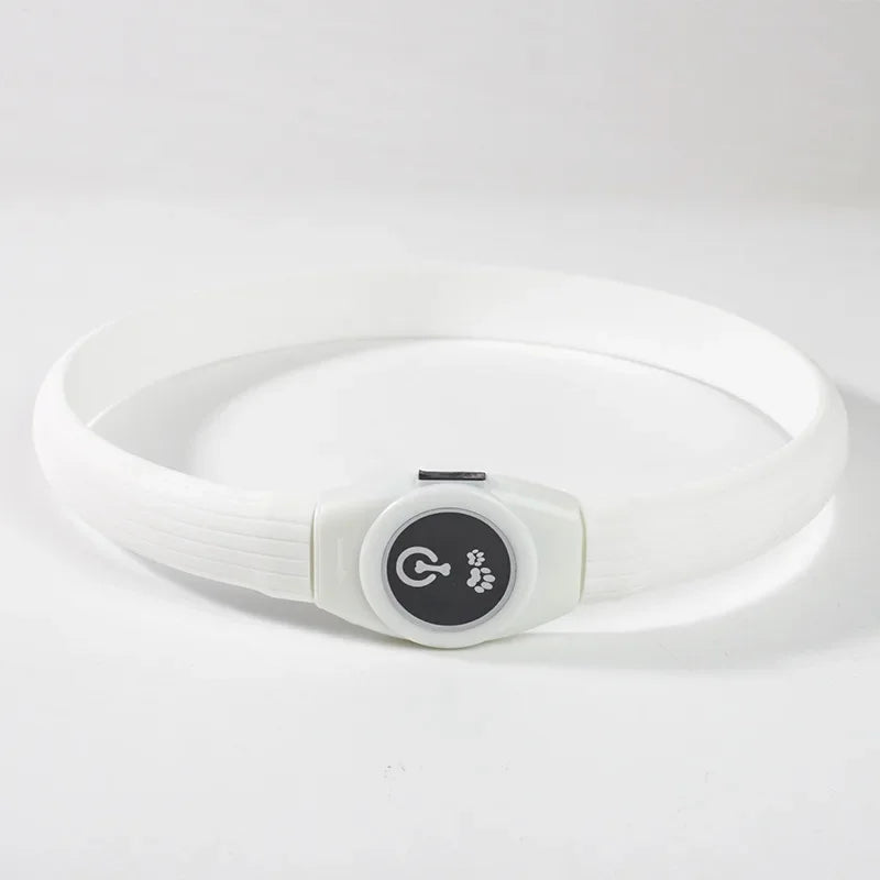 LED Dog Collar