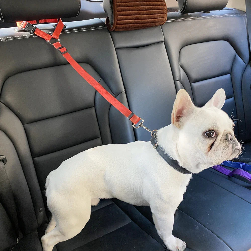 Two-in-One Dog Harness & Seat Belt