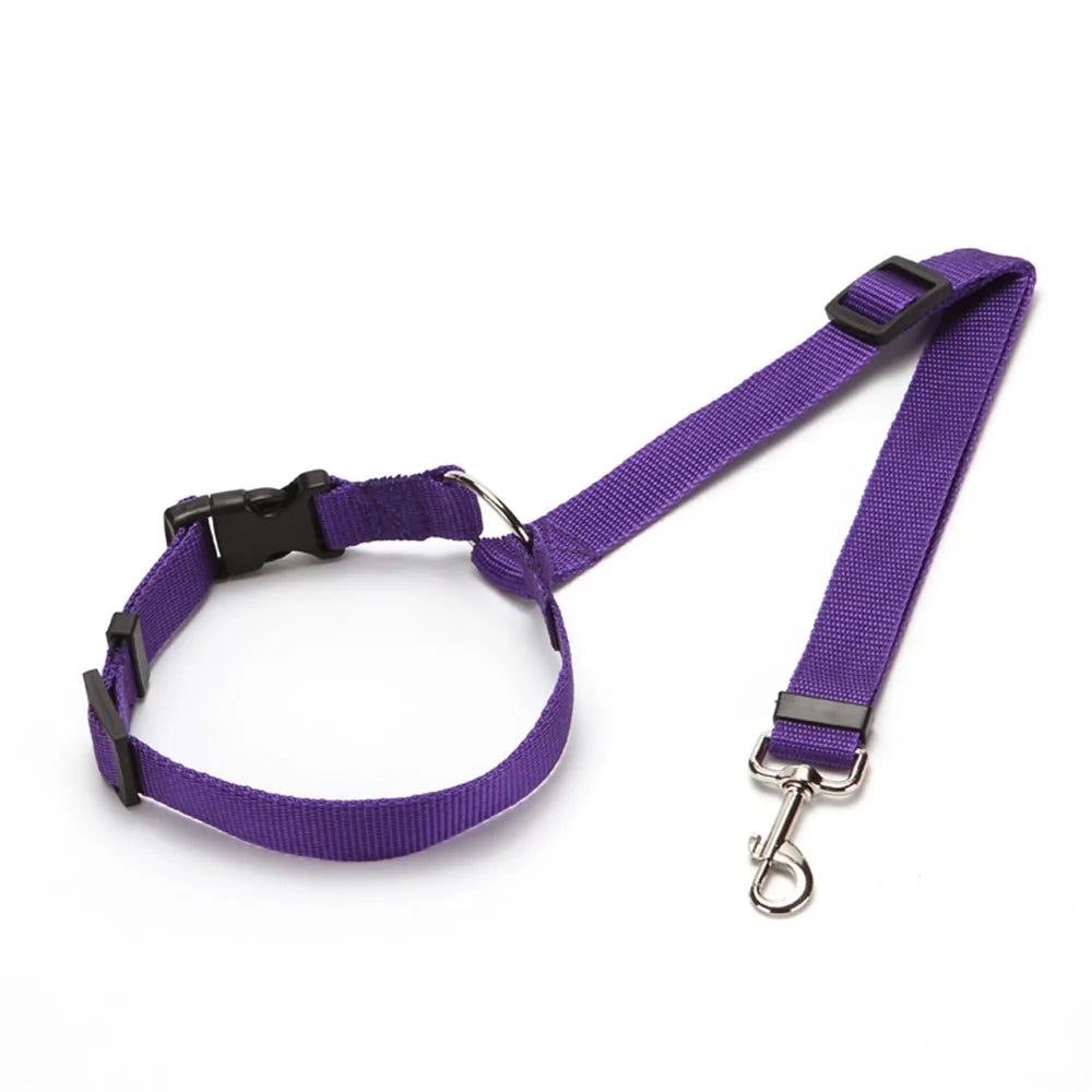 Two-in-One Dog Harness & Seat Belt