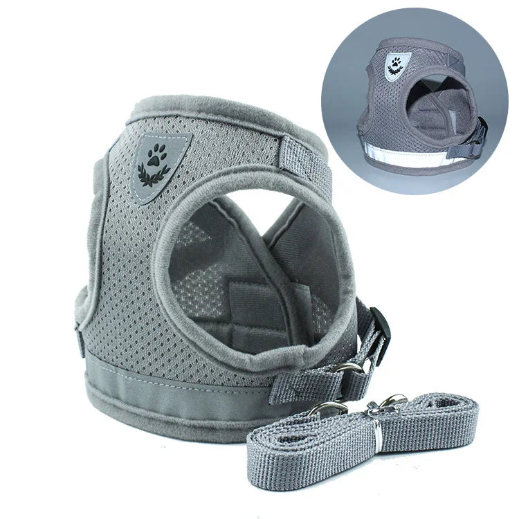 Dog Harness & Leash Set