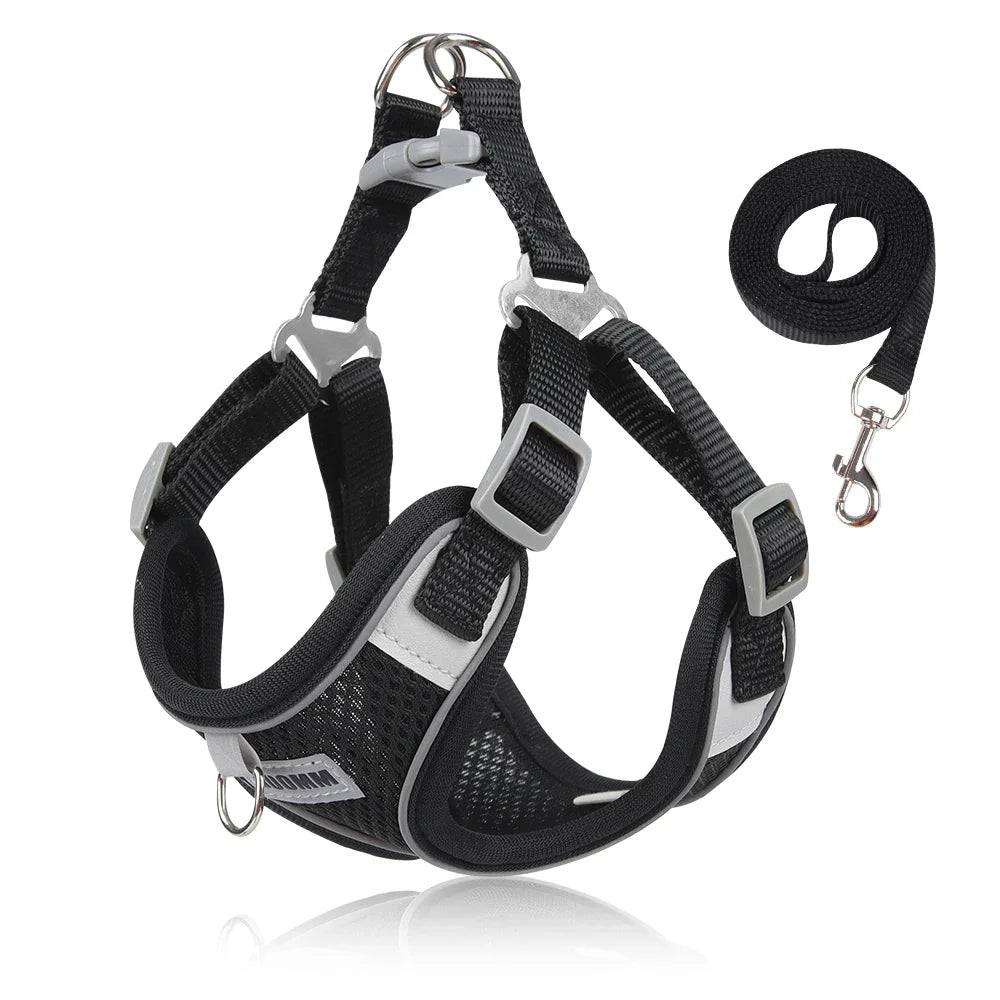 Dog Harness Leash Set